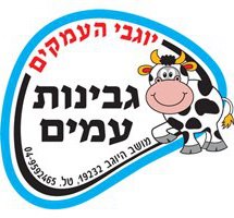 גבינת ברינזה מולדובית
